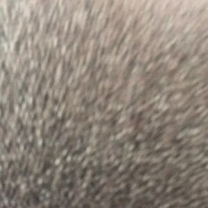 Meet your Posher, Adil